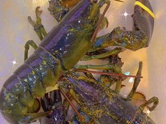 -来之顺海鲜菜馆·青岛菜·始于1993(栈桥店)