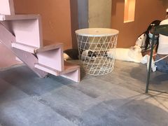 -猫儿山۰猫主题餐厅