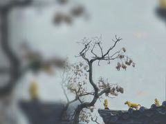 -昆明市金殿名胜区