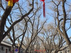 -北京国子监胡同