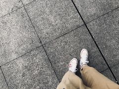 -南山植物园