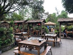 -青城甲(青城山店)