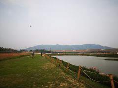 -光明小镇欢乐田园