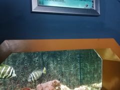 -北戴河圣蓝海洋公园