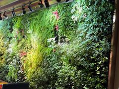 -泽云梵莲花足浴 按摩 SPA(滨湖店)