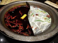 宽板凳菌汤鸳鸯锅-宽板凳老灶火锅(南礼士路店)