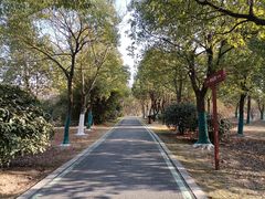 -大蜀山国家森林公园