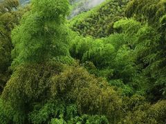 -山沟沟景区