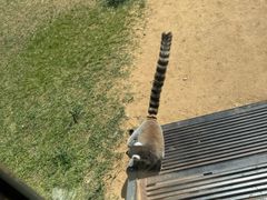 -秦皇岛野生动物园