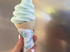 -NOME(太阳百货店)