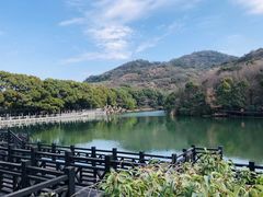 -白马涧龙池景区
