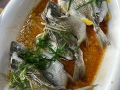 -八仔大富楼·河鲜(西江店)