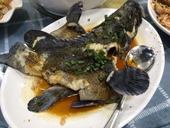 -明记海鲜大排档(巽寮湾店)