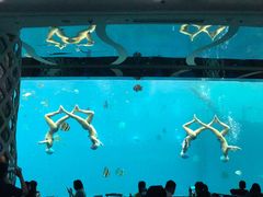 -瑞德姆美人鱼海底演艺主题餐厅(亚龙湾店)