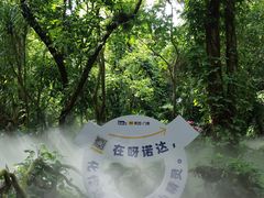 -呀诺达热带雨林