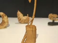 -中国美术学院象山校区-民艺博物馆