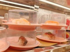 -争鲜回转寿司(太阳宫凯德MALL店)