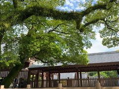 -热田神宫