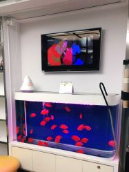 -圣瑞医疗上海圣恩儿科门诊部