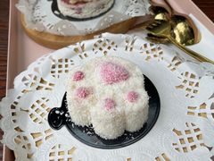 -喵屿·大理花园猫咖