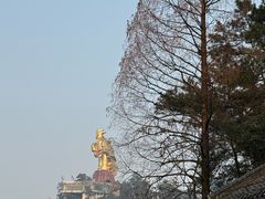 -大金鹰园