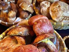-芸鲜季·云南野生菌餐厅· 云南风物味研社(闵行店)