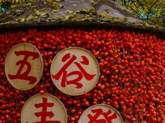 -云丘山景区