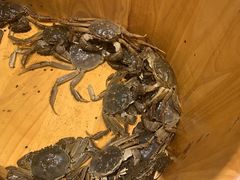 -川骄海鲜自助(亚运村店)