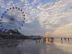 -奉贤海滩