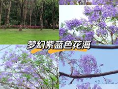 -顺峰山公园