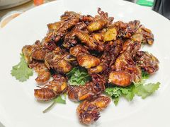 -古萧汪家羊肉馆(龙山路总店)