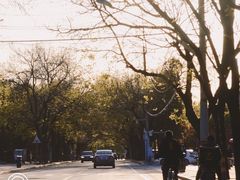 -老梦面包CHEZMOREL(麦子店)