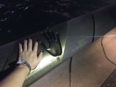 -星光大道