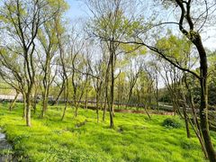 -西湖风景区-江洋畈生态公园