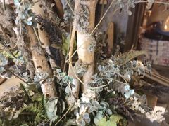 -玛格萝妮(汇智国际商业中心店)