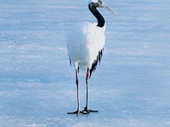 -沈阳森林动物园