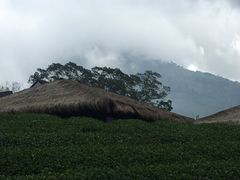 -优游吧斯邹族文化部落