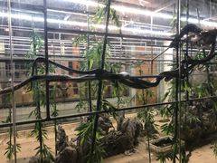 -荔城生鲜盛宴(番禺旗舰店)