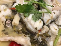 云贵酸汤深海大龙趸-金翠皇宫粤菜·点心·海鲜(科技园店)