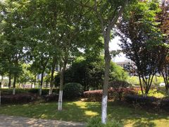 -无锡市市民中心