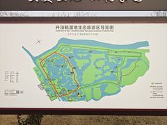 -盐城丹顶鹤湿地生态旅游区