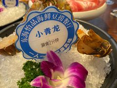 -东海怡品海鲜豆捞(舟宿夜江店)