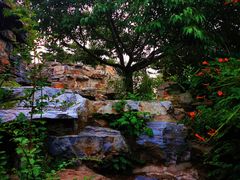 -北京西山国家森林公园