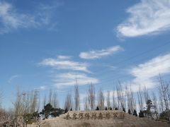 -永定河休闲森林公园