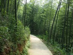 -千泷沟大瀑布旅游区