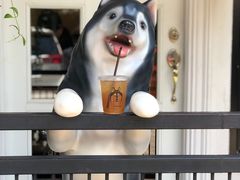 -TrueLove @ Neverland (Husky Cafe)