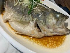 清蒸鲈鱼-多多旺港式茶餐厅(新区店)