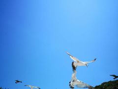-海驴岛(荣成市)