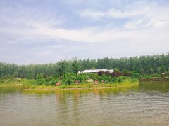 -合肥滨湖国家森林公园