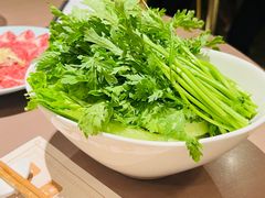-協成海鮮火鍋(老店)